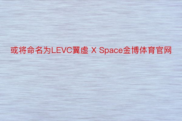 或将命名为LEVC翼虚 X Space金博体育官网