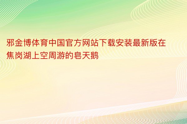 邪金博体育中国官方网站下载安装最新版在焦岗湖上空周游的皂天鹅
